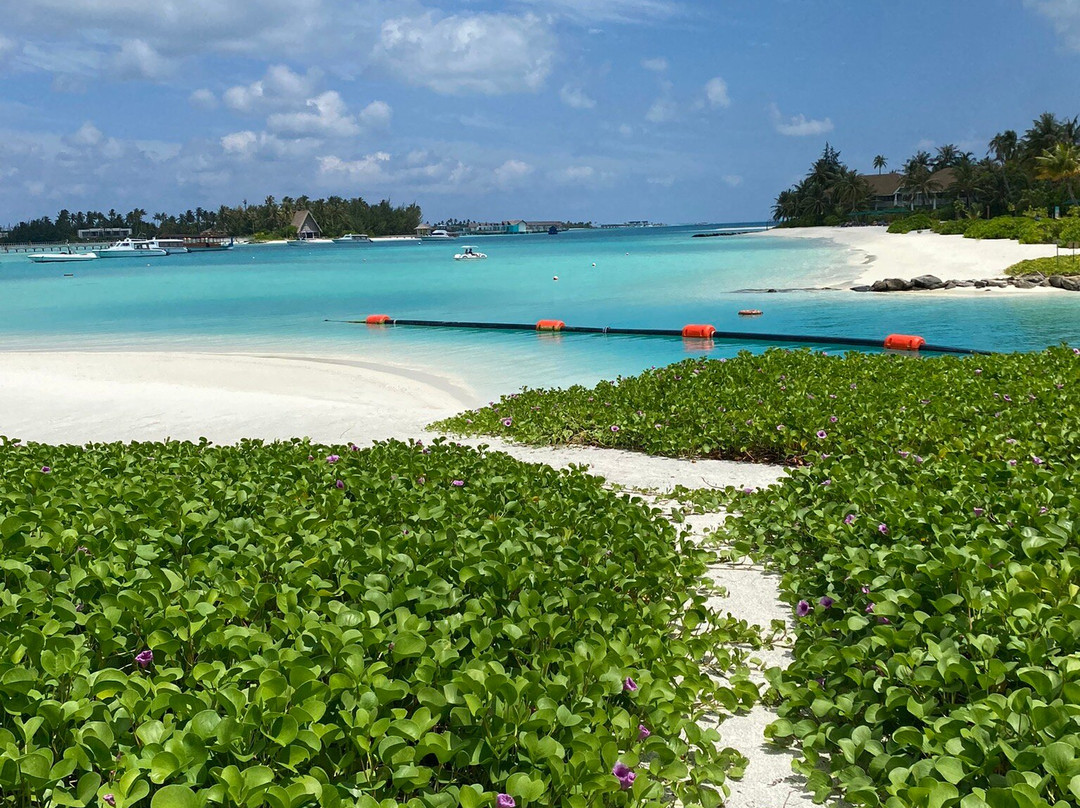 The Marina @ CROSSROADS Maldives-马累必去景点