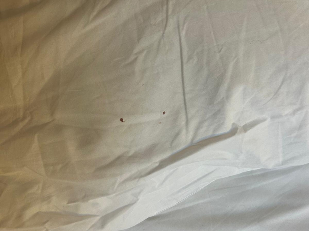 Bains de Saillon-Saillon必去景点