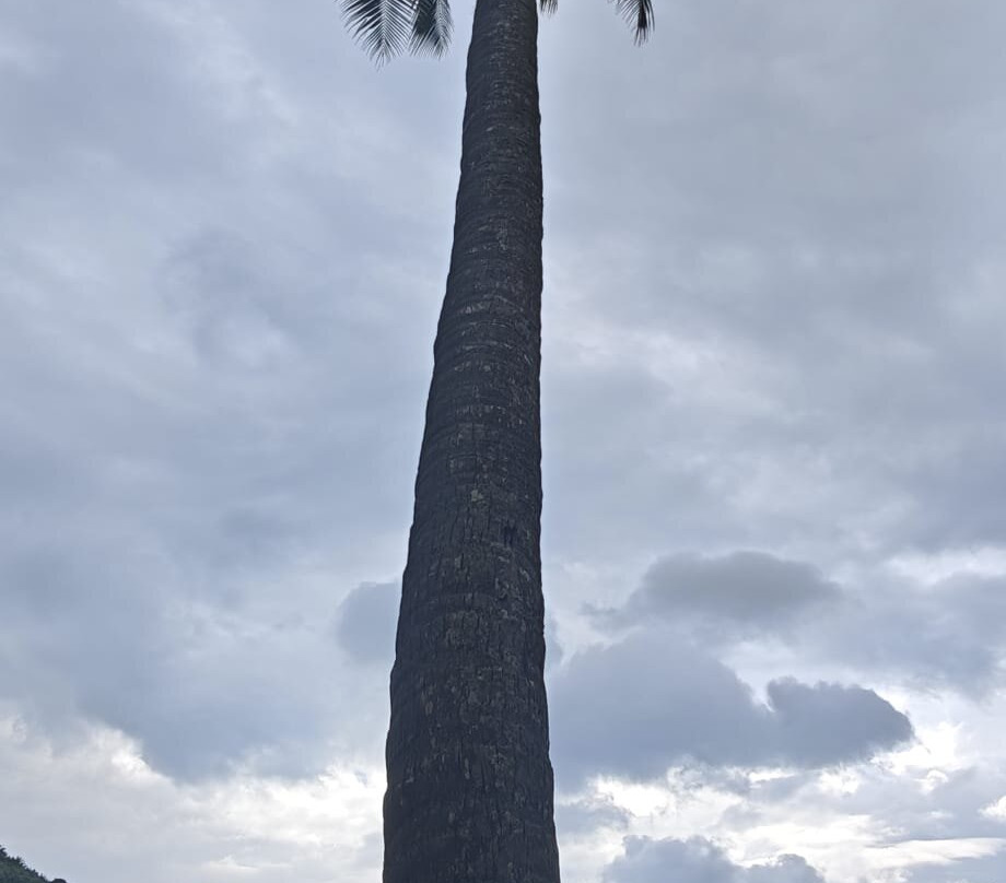 Nui Beach-大皮皮岛必去景点