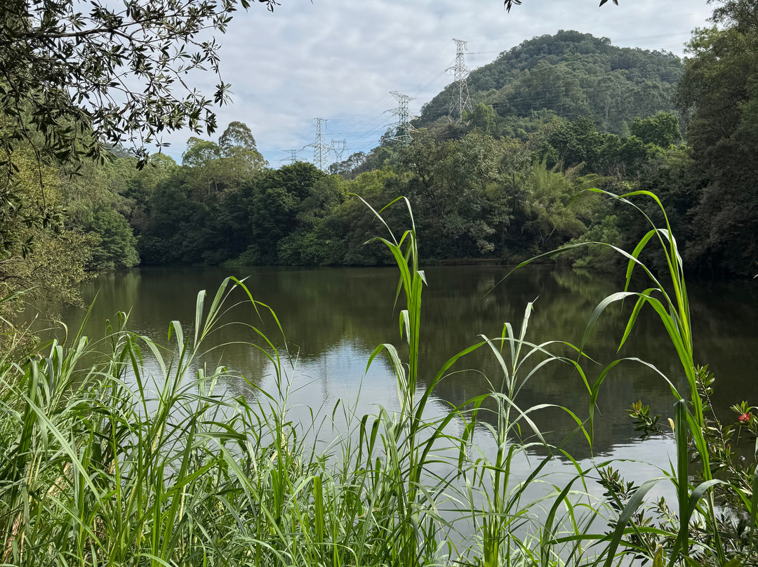 东莞虎英郊野公园-东莞市必去景点