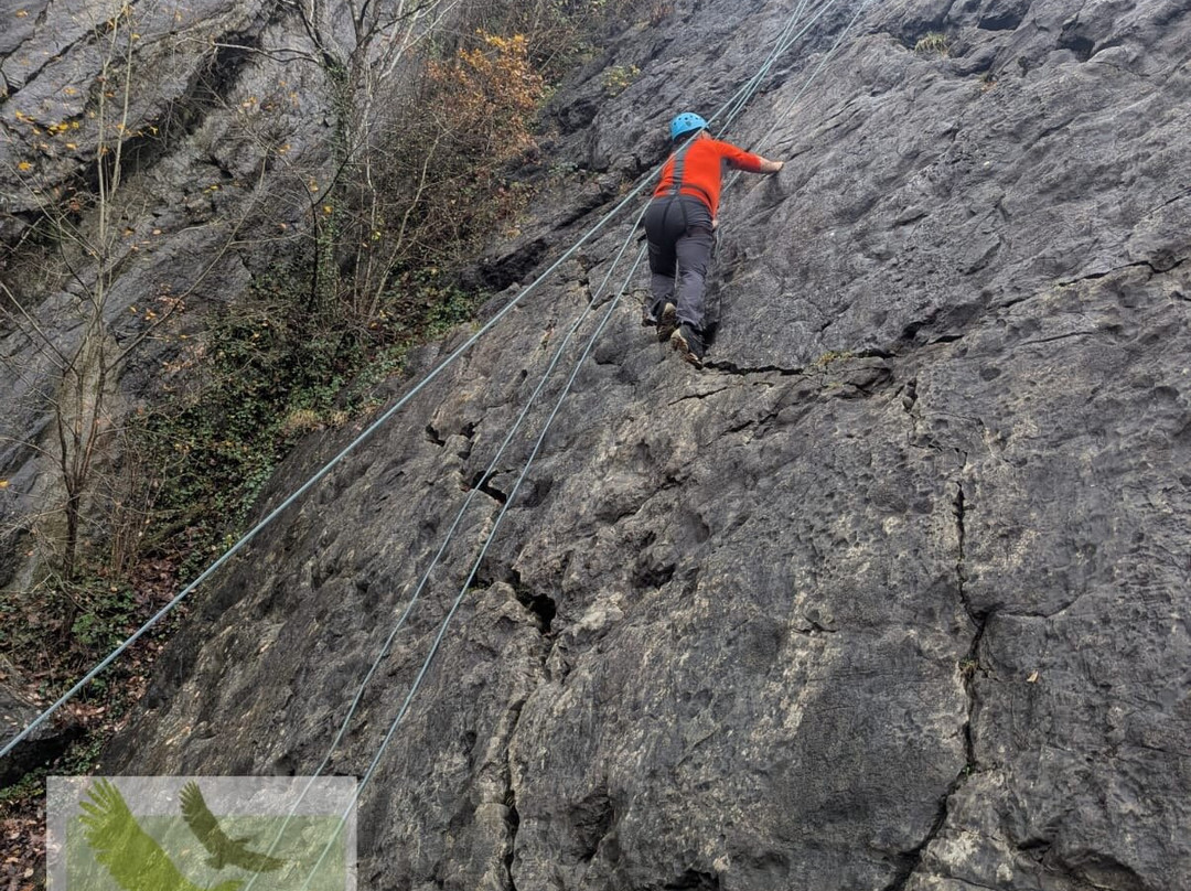 Hawk Adventures-Pontneddfechan必去景点