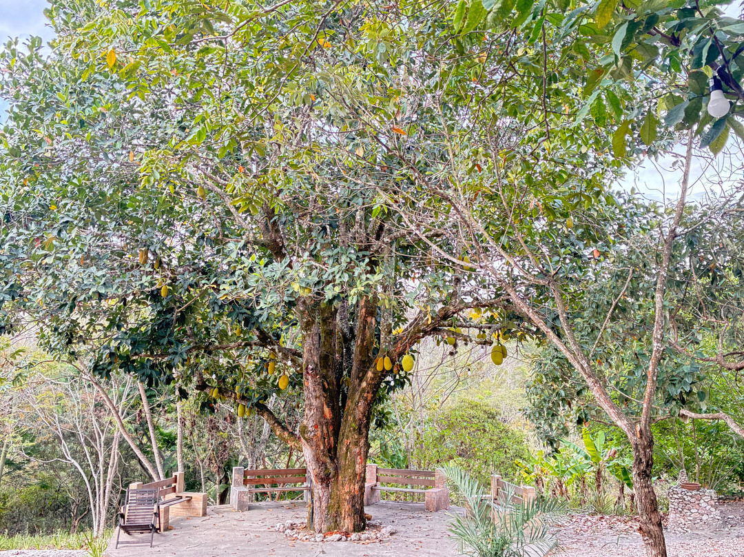 Pousada Kabana De Pedra主图