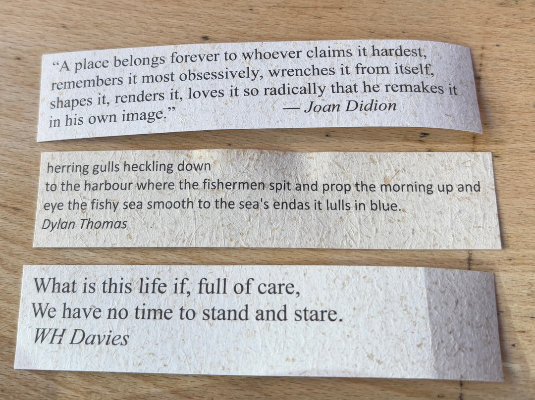 Poetry Pharmacy-Bishops Castle必去景点