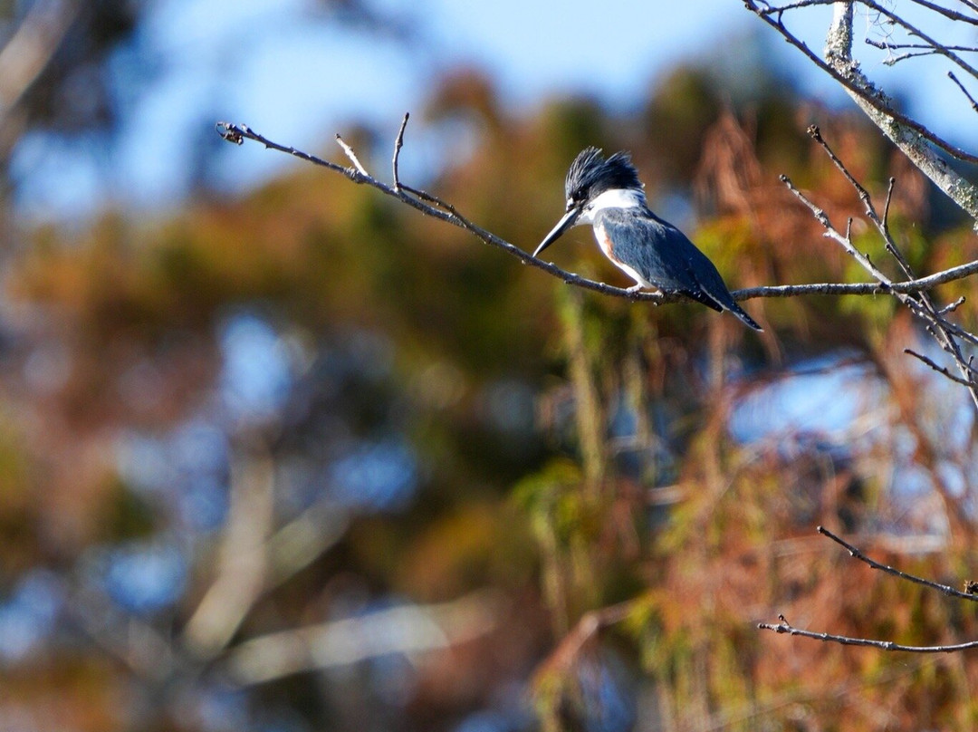 Delta Discovery Tours-Empire必去景点