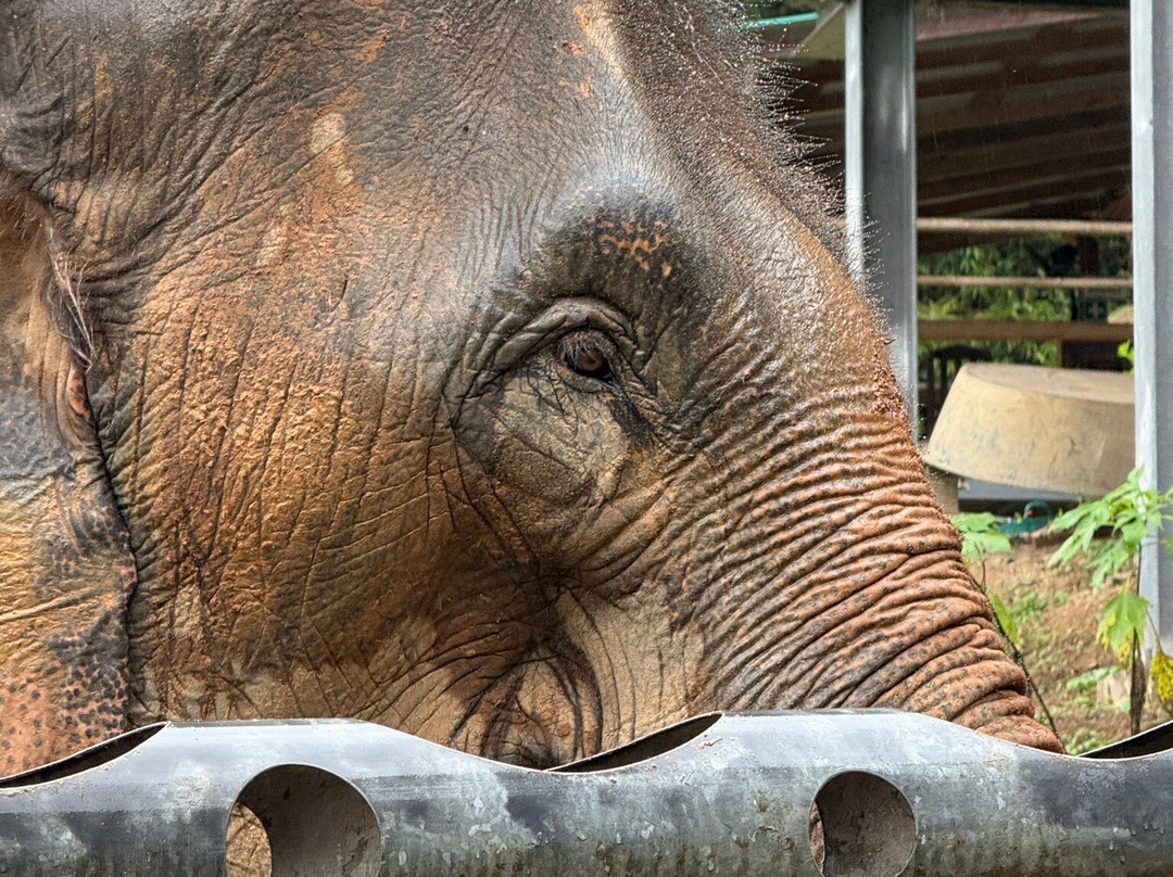 Chang Chill-Mae Win必去景点