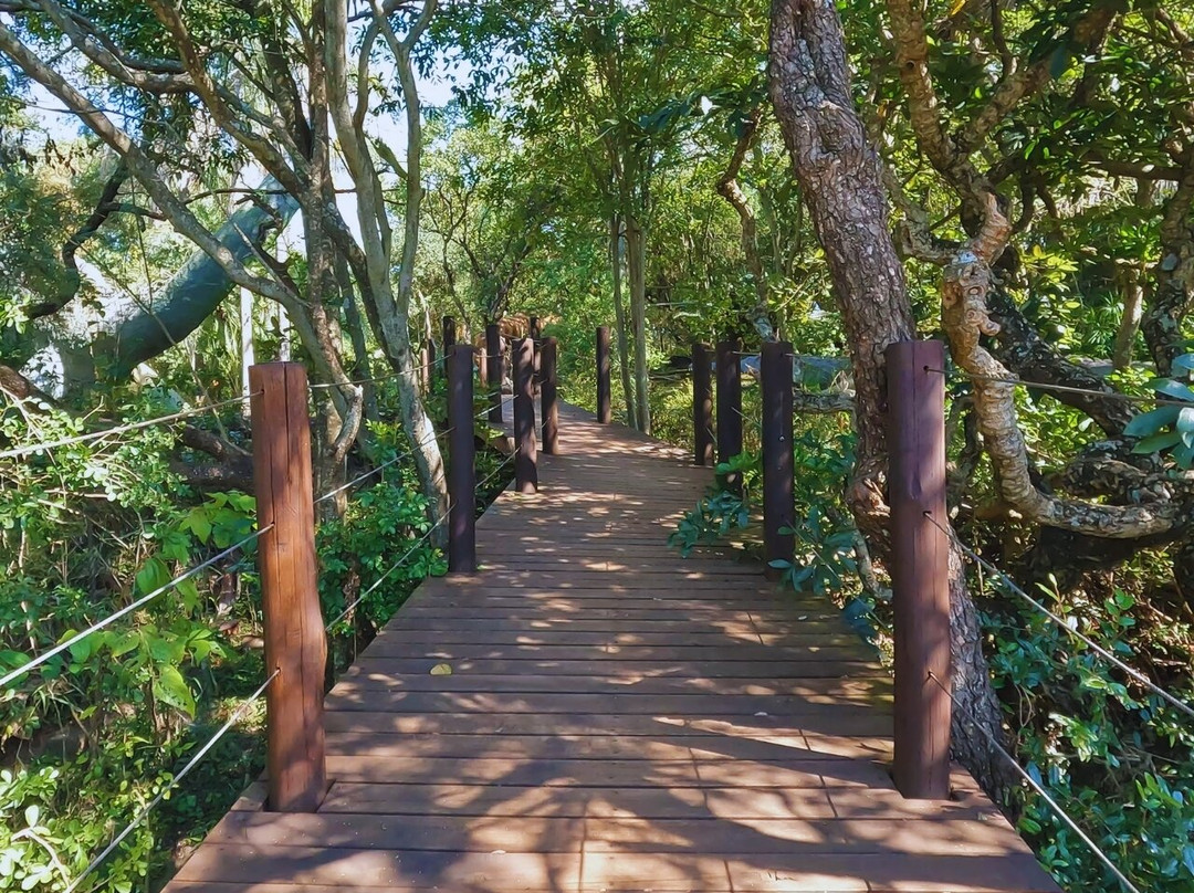 Sudwala Dinosaur Park-尼斯普鲁特必去景点