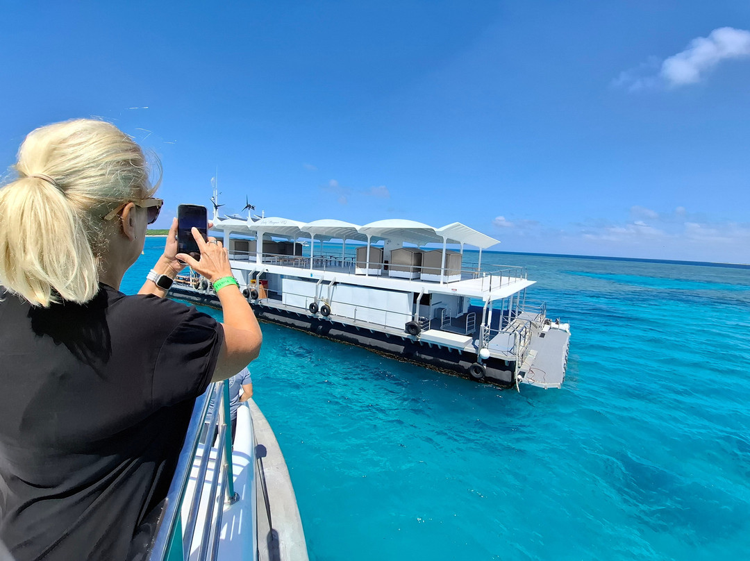 Lady musgrave experience