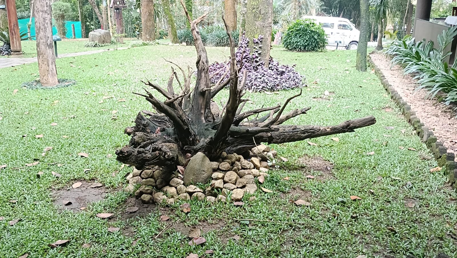 绿林度假村-浴室