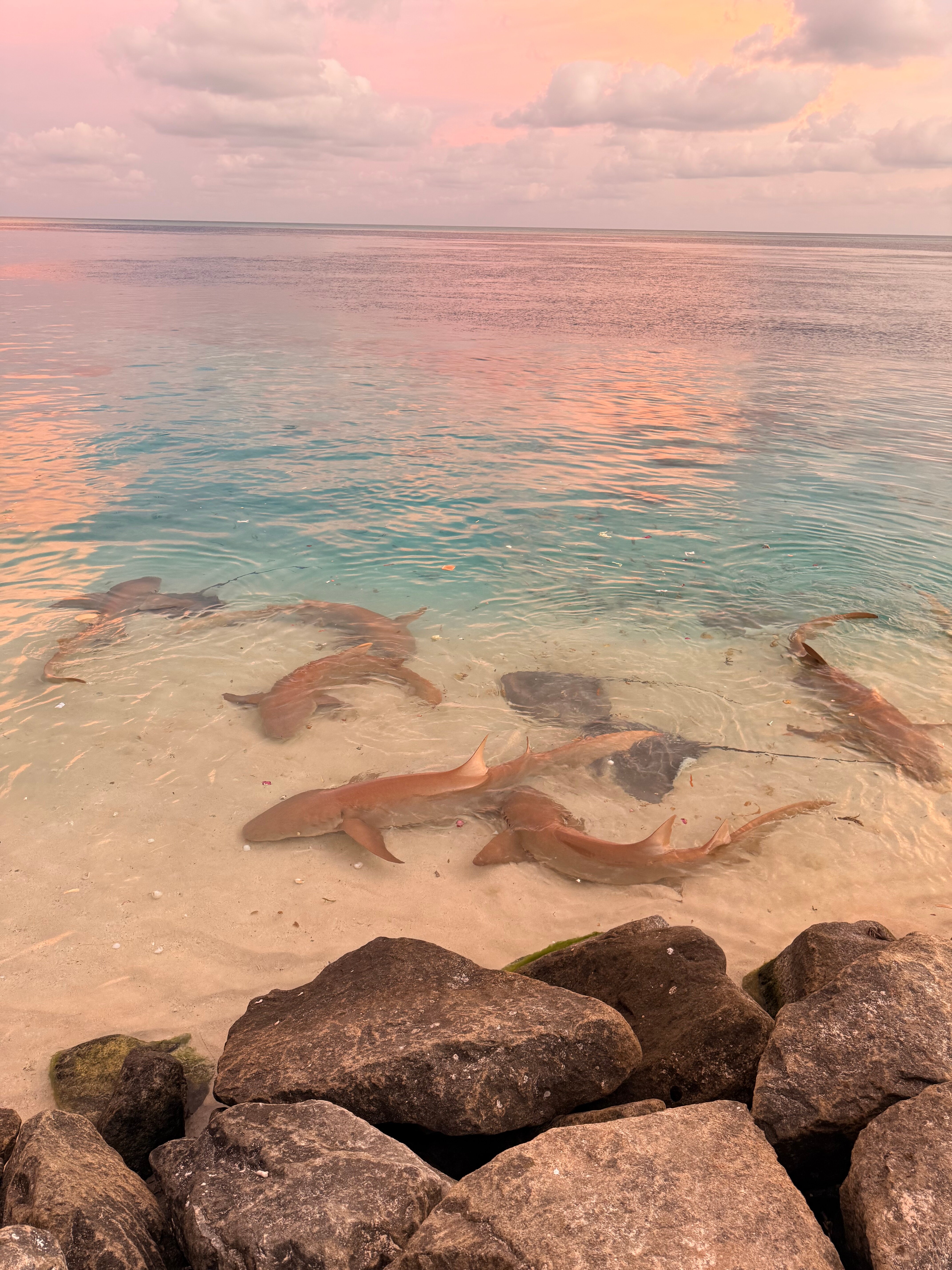 Into the Blue Lodge-浴室