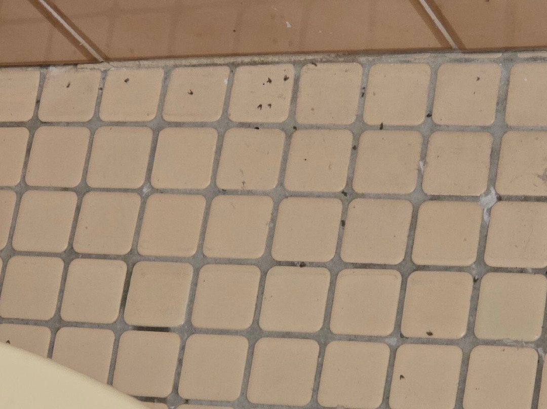 Merimbula Gardens Motel主图