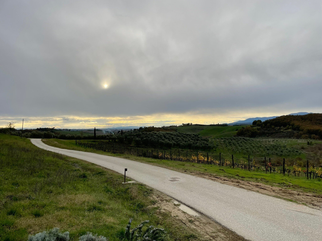 Villa Petriolo主图