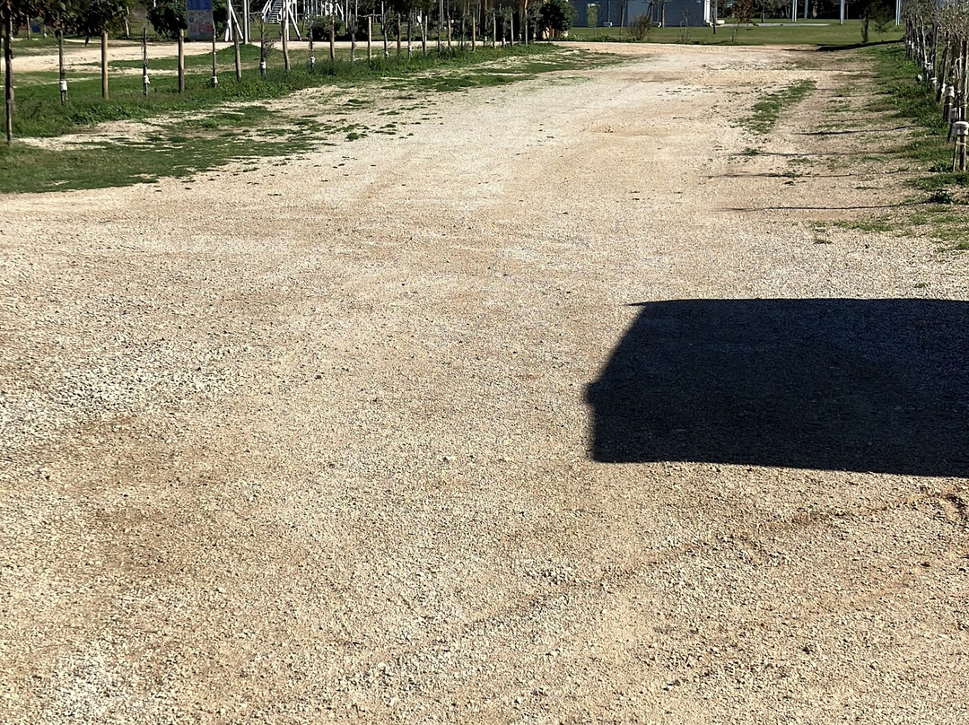 Torre Guaceto Boa Gialla-Carovigno必去景点