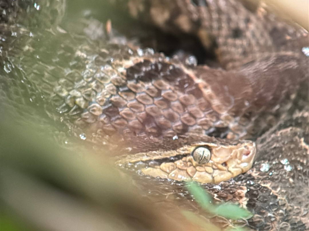 Surcos Tours-希门尼斯港必去景点