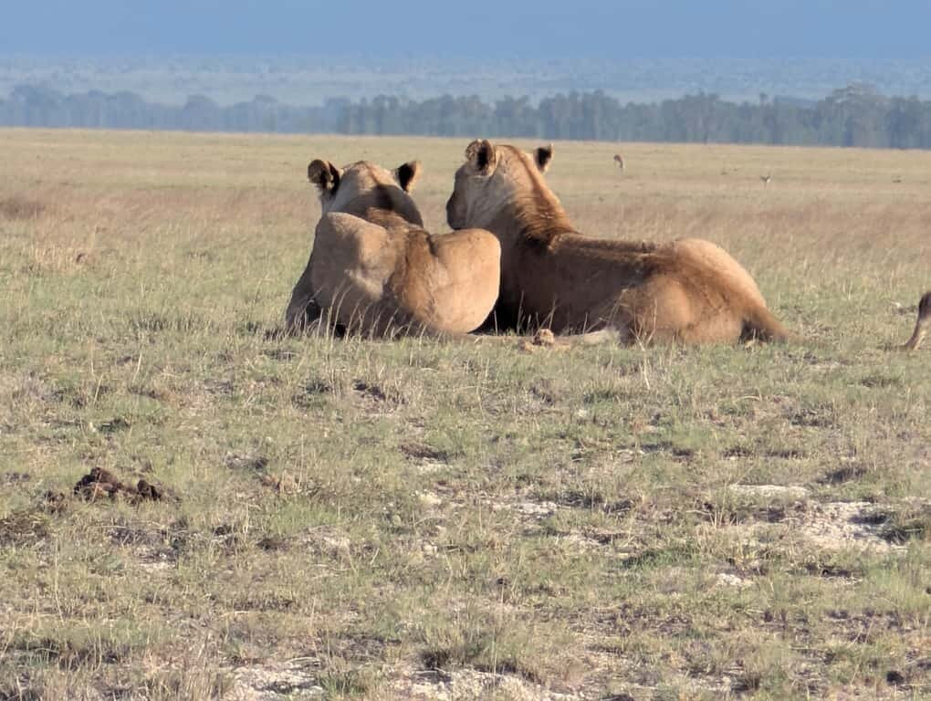 Bienvenido Kenya Tours and Safaris-山祖必去景点
