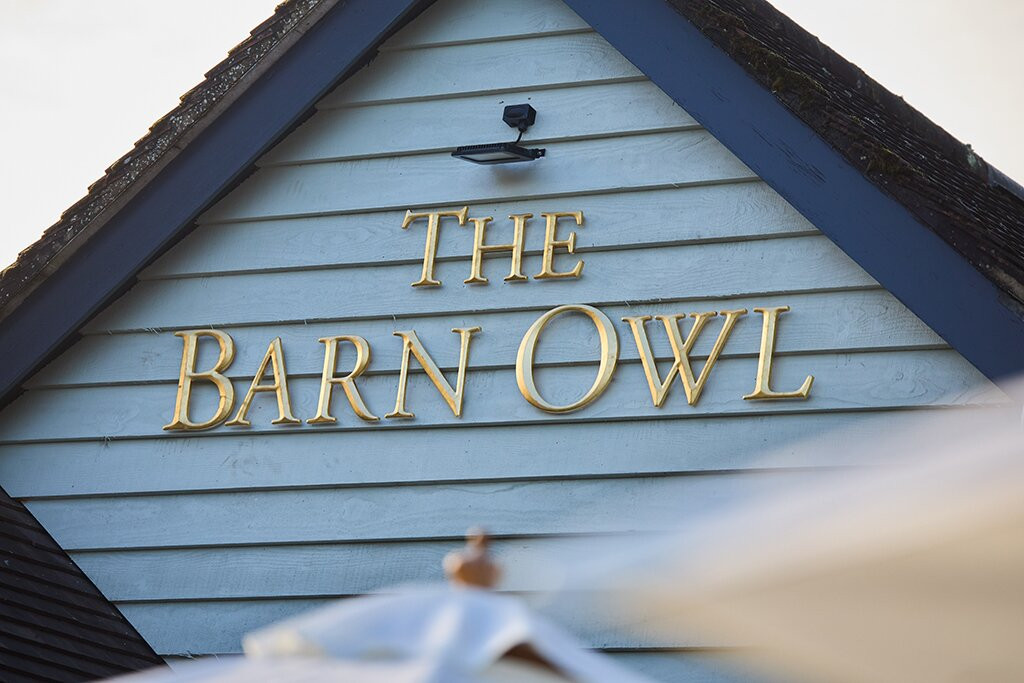 The Barn Owl
