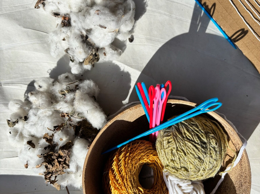 Karib'cultur-Schoelcher必去景点