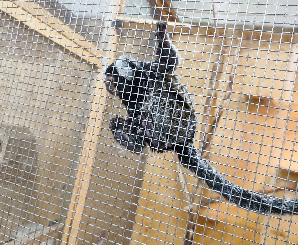 Strana Enotiya-克拉斯诺亚尔斯克必去景点