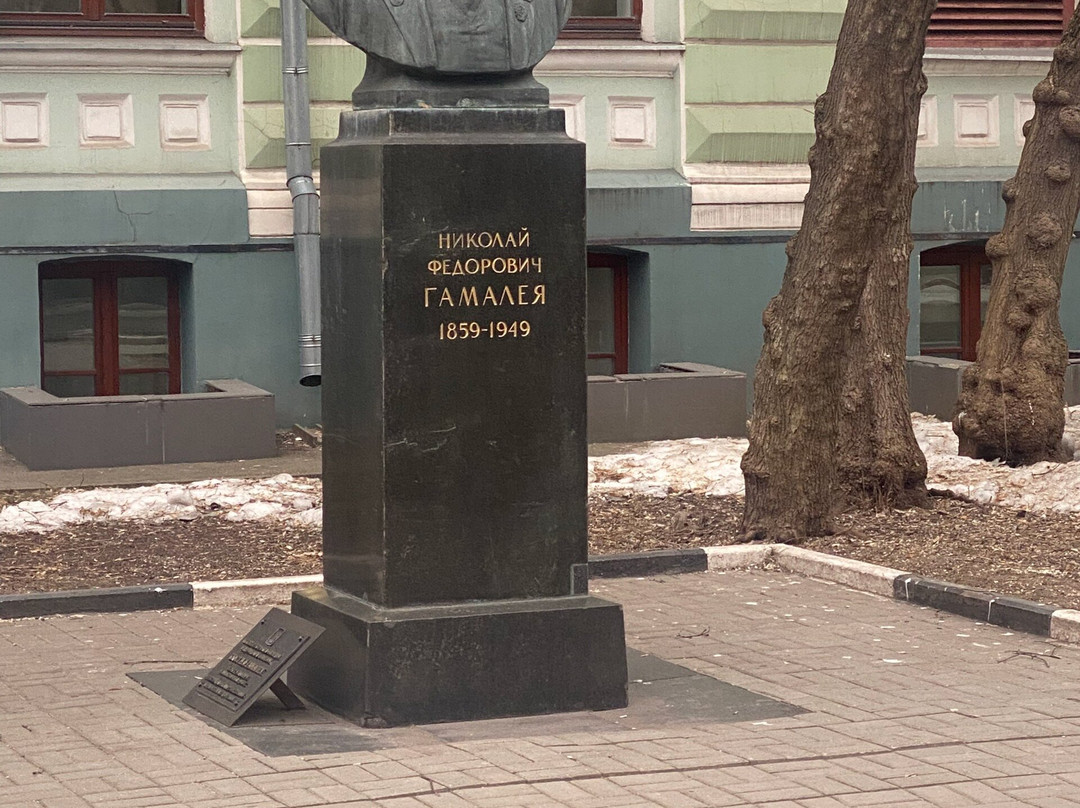 Monument-Bust to N. F. Gamaley-莫斯科必去景点