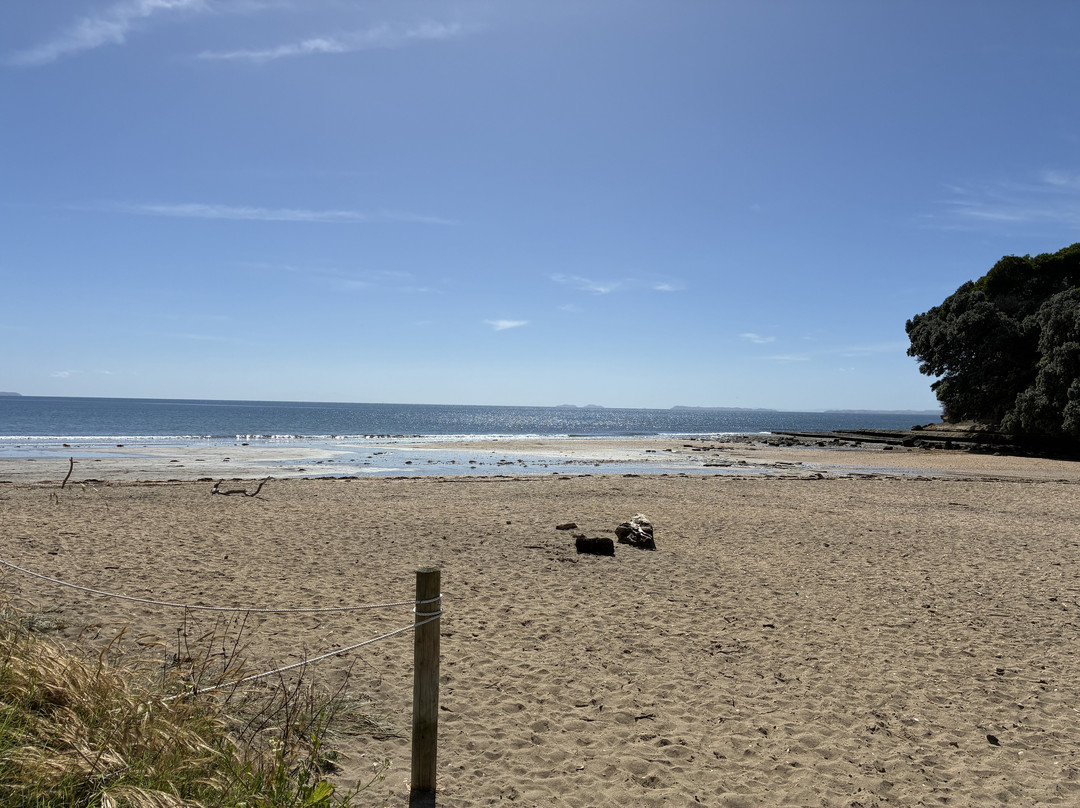 Long Bay Beach-Long Bay必去景点