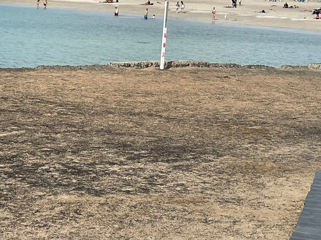 Caletta De Fuste Beach-Caleta de Fuste必去景点