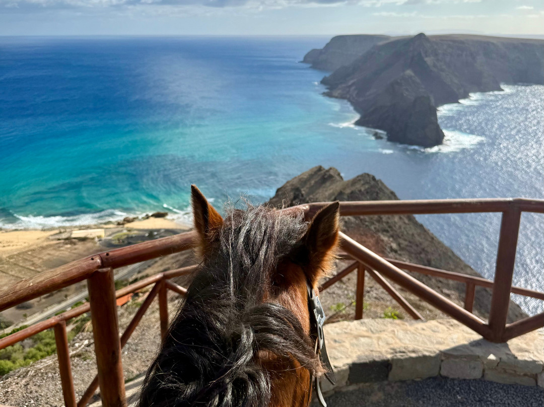 Centro Hípico do Porto Santo-Porto Santo Island必去景点
