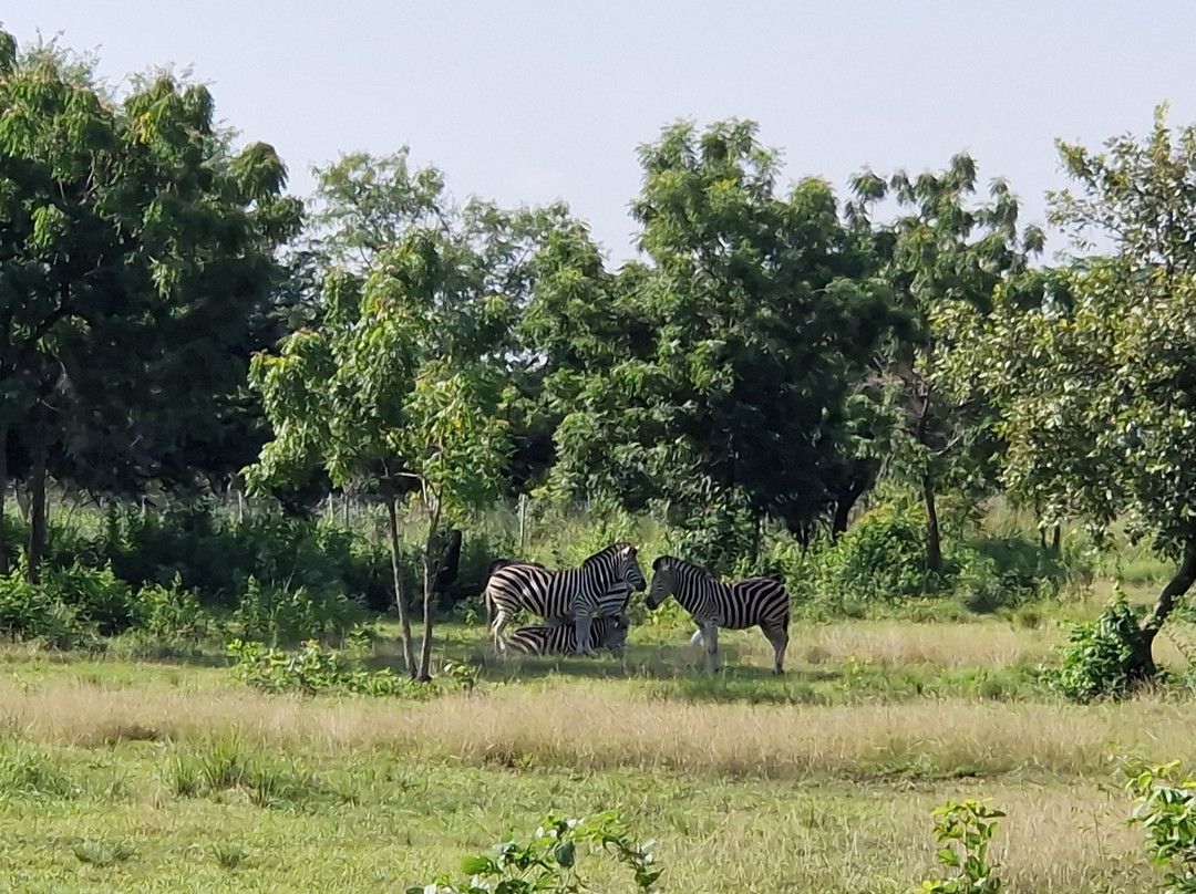 TANF Charity-Tours-Aburi必去景点