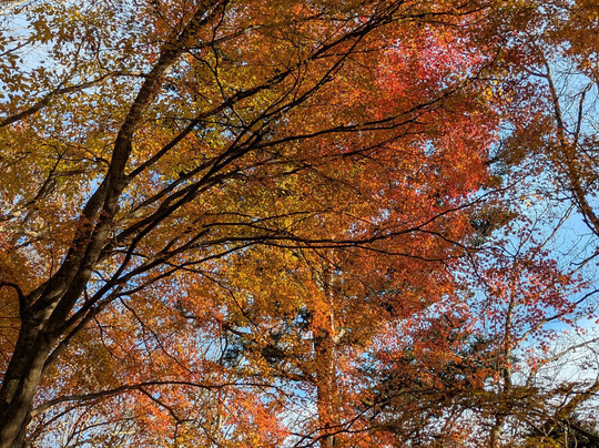 Takasunoyama-奥多摩町必去景点