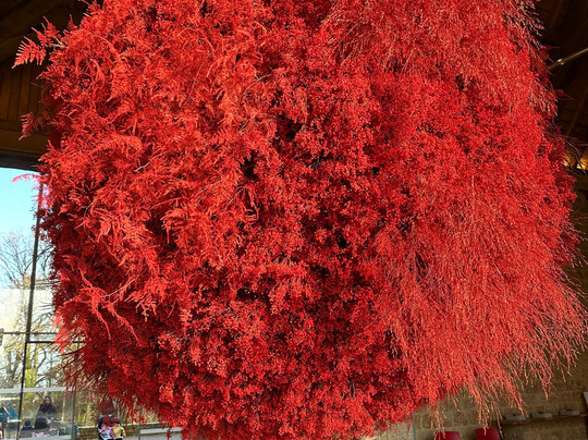 The Gardens at The Newt in Somerset-Shepton Montague必去景点