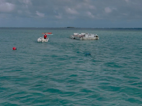 Kaneohe Bay Ocean Sports-卡内奥赫必去景点