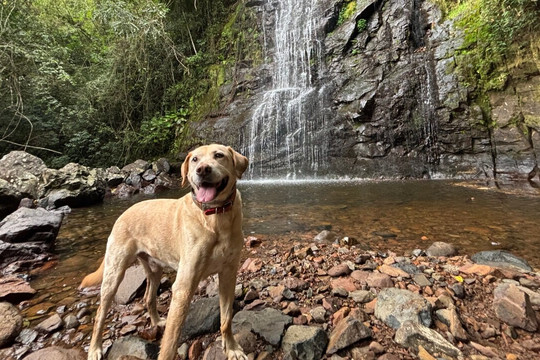 Cachoeira Do Ressaco-Terra de Areia必去景点