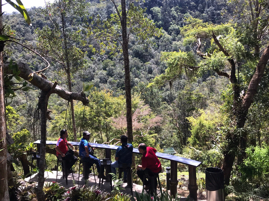 Gunung Jerai-Kuala Ketil必去景点