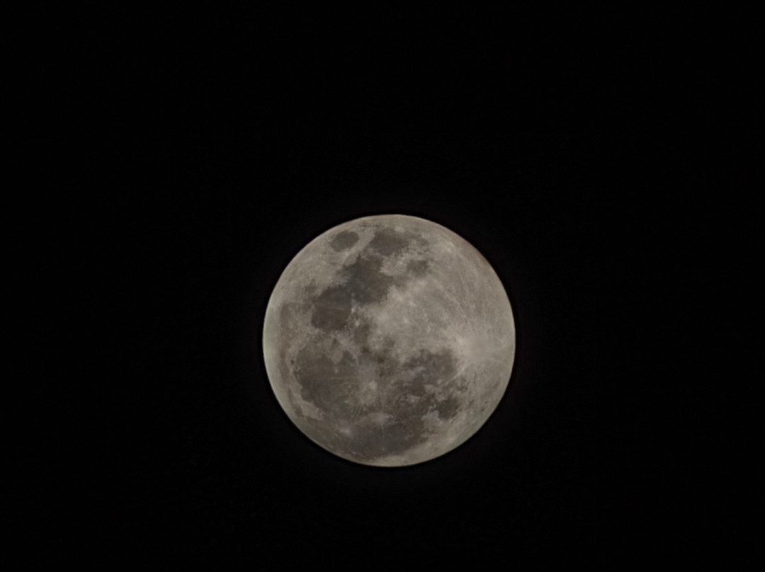 OSOTUA TENTED CAMPS-Ikoma必去景点