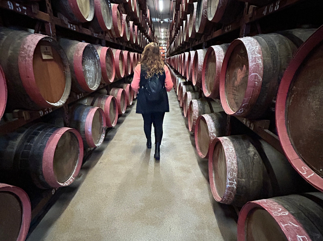 Arehucas Rum Distillery-Arucas必去景点