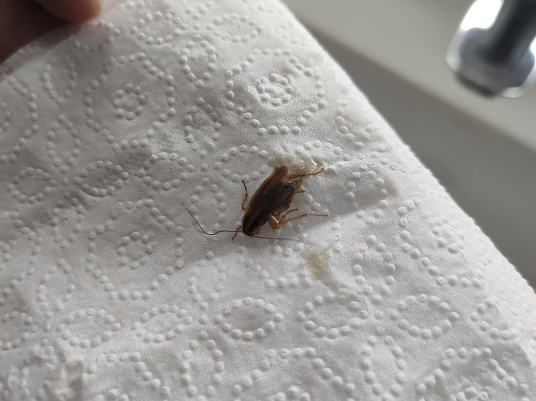 Microtel Inn & Suites by Wyndham Augusta Riverwatch主图