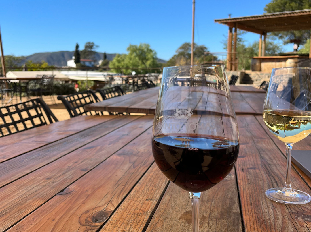 Bodegas De Santo Tomás-恩塞纳达必去景点