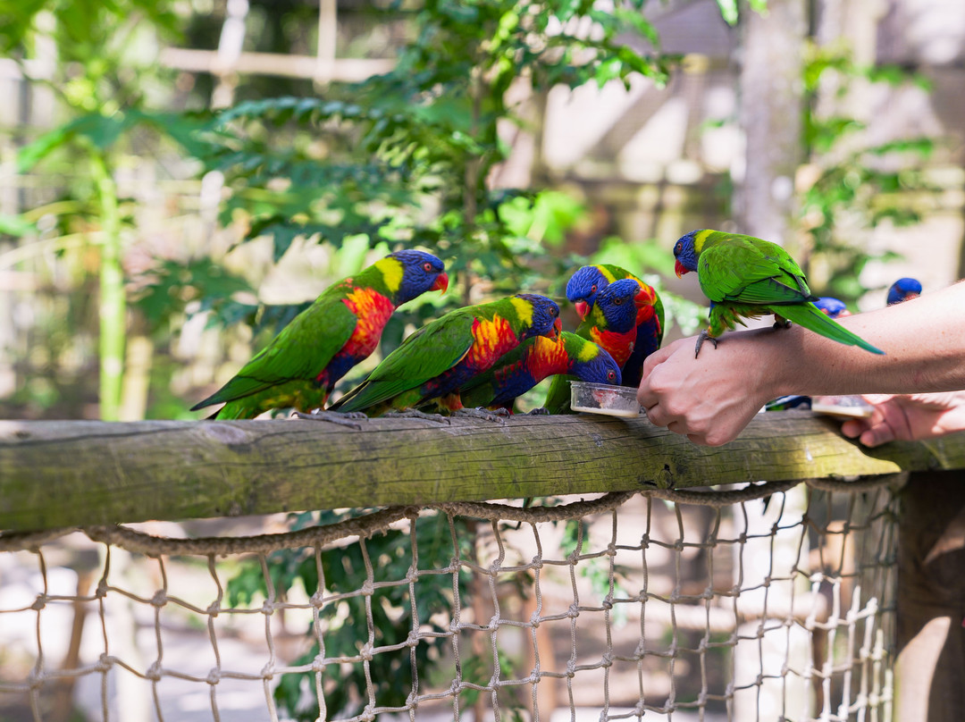 Zoo de Martinique-Le Carbet必去景点