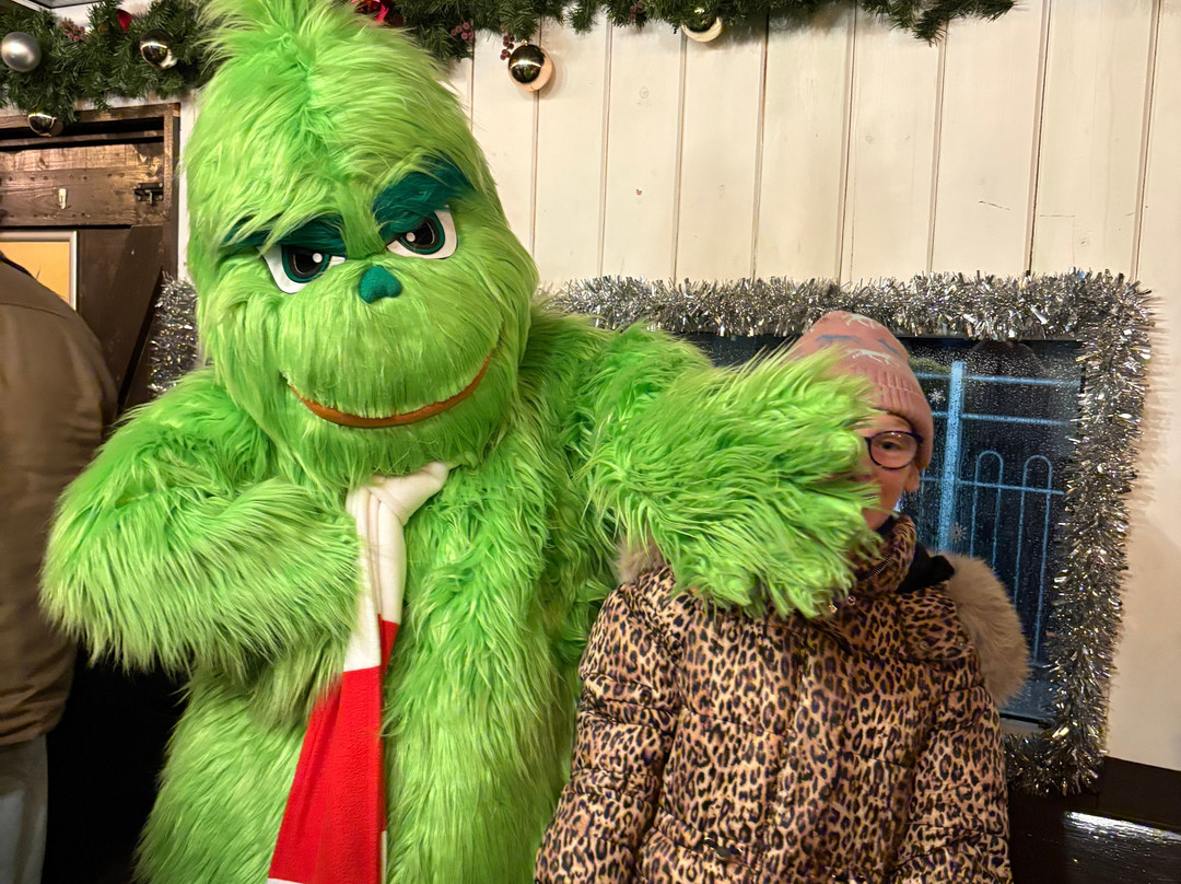 Brecon Mountain Railway-梅瑟蒂德菲尔必去景点