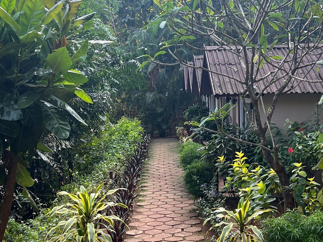 Stone Wood Premier Gokarna主图