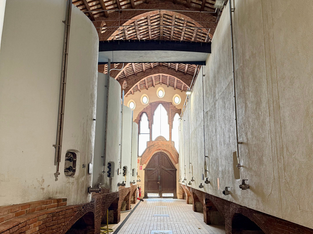 Adernats - Winery of Nulles-Nulles必去景点