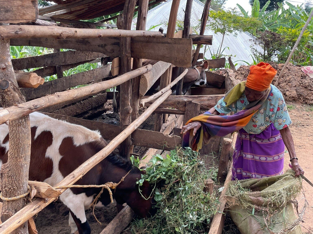 Kwamongo Expeditions-坦噶必去景点