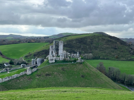 Purbeck Safari-韦勒姆必去景点
