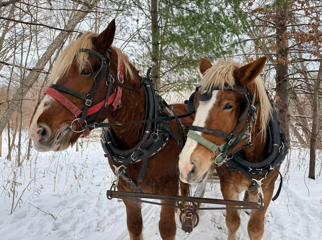 Red Ridge Riding Stable-Mauston必去景点