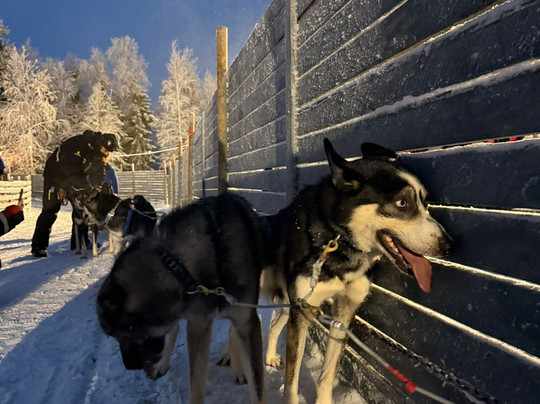 Lapland Safaris Levi-Levi必去景点