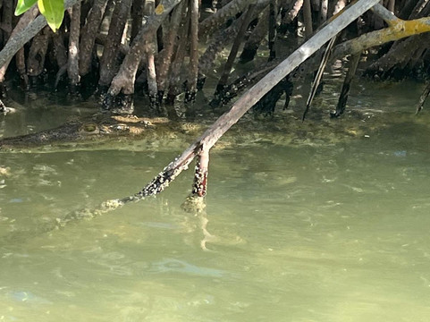 FisherNatours-图伦必去景点