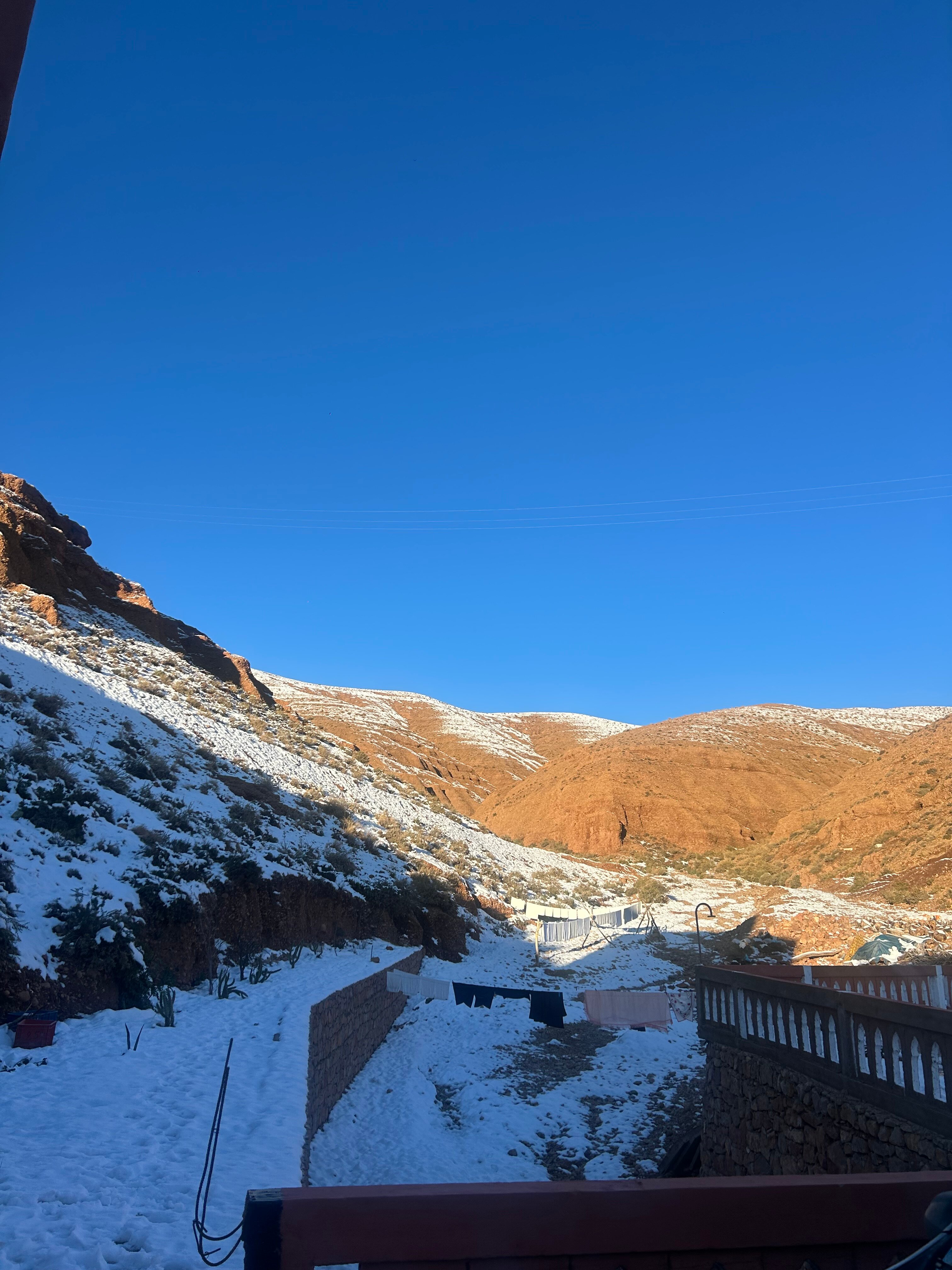 Riad Gabsi Dades-官方