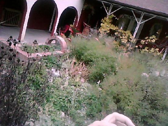 Naramata House B&B主图