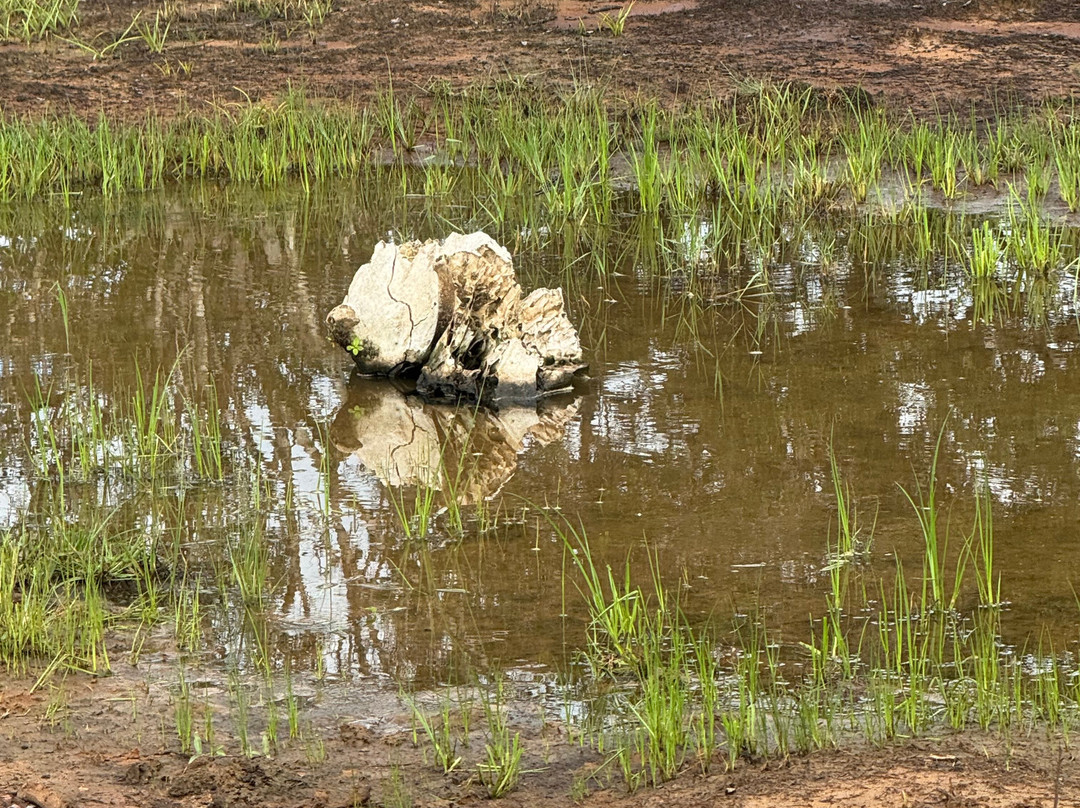 My Vacation at Lanka-Ratmalana必去景点