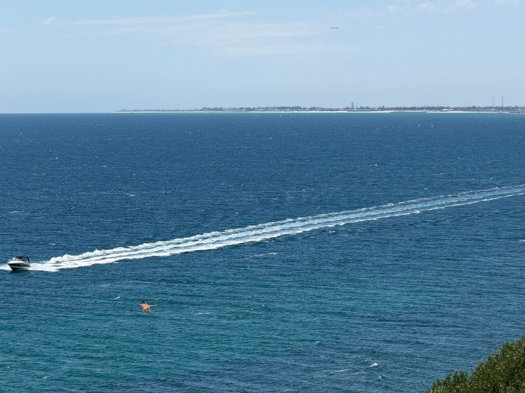 Hallett Cove Conservation Park-Hallett Cove必去景点