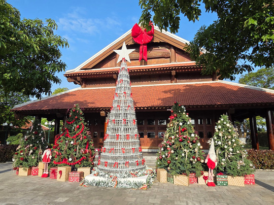 Senna Wellness Retreat主图