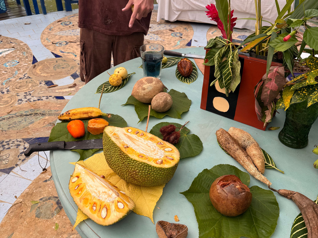 Finca Flora-Bocas del Toro必去景点